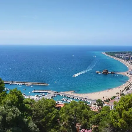 Marina Blanes